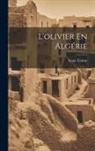 Louis Trabut - L'olivier En Algérie