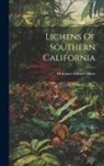 Hermann Edward Hasse - Lichens Of Southern California