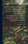 Engelmann George - Sketch Of The Botany Of Dr. A. Wislizenus's Expedition ?missouri To Santa Fe, Chihuahua, Parras, Saltillo, Monterey And Matamoros