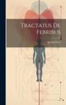 Antoine Fizes - Tractatus De Febribus