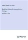 Johann Wolfgang von Goethe - Die Mitschuldigen; Ein Lustspiel in drei Aufzügen