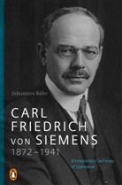 Johannes Bähr - Carl Friedrich von Siemens 1872-1941