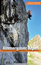 Dieter Elsner, Marcus Lutz, Ronald Nordmann, Ronald u a Nordmann, Martin Oswald - Kletterführer Ammergau