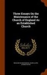 Richard Watson Dixon, Charles Hole, Julius Lloyd - Three Essays on the Maintenance of the Church of England as an Established Church