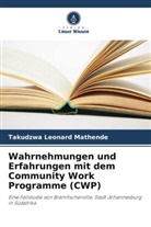 Takudzwa Leonard Mathende - Wahrnehmungen und Erfahrungen mit dem Community Work Programme (CWP)