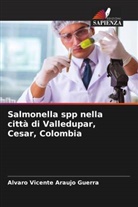 Alvaro Vicente Araujo Guerra - Salmonella spp nella città di Valledupar, Cesar, Colombia