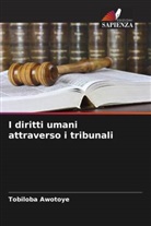 Tobiloba Awotoye - I diritti umani attraverso i tribunali