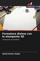 Ashok Kumar Gupta - Formatura dieless con la stampante 3D