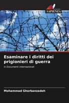 Mohammad Ghorbanzadeh - Esaminare i diritti dei prigionieri di guerra