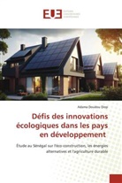 Adama Doudou Diop - Défis des innovations écologiques dans les pays en développement