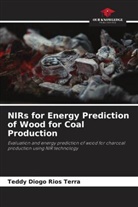 Teddy Diogo Rios Terra - NIRs for Energy Prediction of Wood for Coal Production