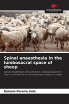 Ramom Pereira Vale - Spinal anaesthesia in the lumbosacral space of sheep