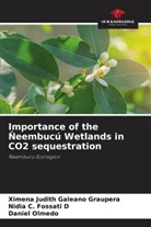 Nidia C. Fossati D, Ximena Judith Galeano Graupera, Daniel Olmedo - Importance of the Ñeembucú Wetlands in CO2 sequestration