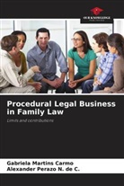 Gabriela Martins Carmo, Alexander Perazo N. de C. - Procedural Legal Business in Family Law