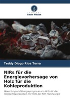 Teddy Diogo Rios Terra - NIRs für die Energievorhersage von Holz für die Kohleproduktion