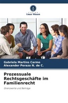 Gabriela Martins Carmo, Alexander Perazo N de C, Alexander Perazo N. de C. - Prozessuale Rechtsgeschäfte im Familienrecht