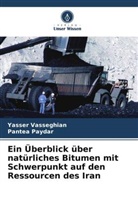 Pantea Paydar, Yasser Vasseghian - Ein Überblick über natürliches Bitumen mit Schwerpunkt auf den Ressourcen des Iran