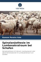 Ramom Pereira Vale - Spinalanästhesie im Lumbosakralraum bei Schafen