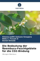 Nidia C Fossati D, Nidia C. Fossati D, Ximena Judith Galeano Graupera, Daniel Olmedo - Die Bedeutung der Ñeembucu-Feuchtgebiete für die CO2-Bindung