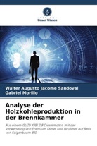 Walter Augusto Jácome Sandoval, Gabriel Morillo - Analyse der Holzkohleproduktion in der Brennkammer