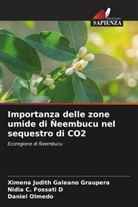 Nidia C. Fossati D, Ximena Judith Galeano Graupera, Daniel Olmedo - Importanza delle zone umide di Ñeembucu nel sequestro di CO2