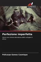 Policarpo Gomes Caomique - Perfezione imperfetta