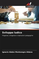Ignacio Abdón Montenegro Aldana - Sviluppo ludico