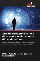 Walter Augusto Jácome Sandoval, Gabriel Morillo - Analisi della produzione di carbone nella camera di combustione