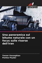 Pantea Paydar, Yasser Vasseghian - Una panoramica sul bitume naturale con un focus sulle risorse dell'Iran