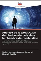 Walter Augusto Jácome Sandoval, Gabriel Morillo - Analyse de la production de charbon de bois dans la chambre de combustion