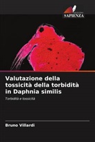 Bruno Villardi - Valutazione della tossicità della torbidità in Daphnia similis