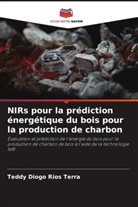 Teddy Diogo Rios Terra - NIRs pour la prédiction énergétique du bois pour la production de charbon