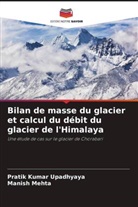 Manish Mehta, Pratik Kumar Upadhyaya - Bilan de masse du glacier et calcul du débit du glacier de l'Himalaya