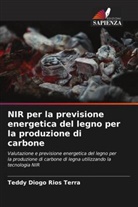 Teddy Diogo Rios Terra - NIR per la previsione energetica del legno per la produzione di carbone