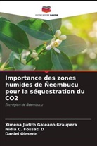 Nidia C. Fossati D, Ximena Judith Galeano Graupera, Daniel Olmedo - Importance des zones humides de Ñeembucu pour la séquestration du CO2