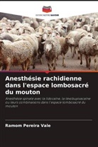 Ramom Pereira Vale - Anesthésie rachidienne dans l'espace lombosacré du mouton