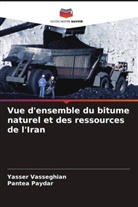 Pantea Paydar, Yasser Vasseghian - Vue d'ensemble du bitume naturel et des ressources de l'Iran