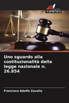 Francisco Adolfo Zavalia - Uno sguardo alla costituzionalità della legge nazionale n. 26.854