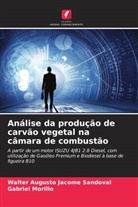 Walter Augusto Jácome Sandoval, Gabriel Morillo - Análise da produção de carvão vegetal na câmara de combustão