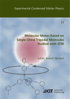 Julian Skolaut - Molecular Motor Based on Single Chiral Tripodal Molecules Studied with STM