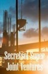 David Breython - Secrets of Super Joint Ventures