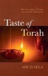 Ahud Sela - Taste of Torah