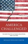 Rosalie Pedalino Porter, Porter Rosalie Pedalino - America Challenged