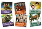 Anita Ganeri, Roderick Hunt, Roderick Morgan Hunt, Claire Llewellyn, Hawys Morgan, Paul Shipton... - Oxford Reading Tree Explore With Biff, Chip and Kipper: Oxford Level