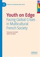 Vincenzo Cicchelli, Sylvie Octobre - Youth on Edge