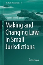 Caroline Morris - Making and Changing Law in Small Jurisdictions