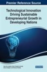 Amevi Acakpovi, Nana Yaw Asabere, Glenn Kwabena Gyimah - Technological Innovation Driving Sustainable Entrepreneurial Growth in Developing Nations