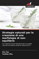Xin Yao, Yanhan Zhu - Strategie naturali per la creazione di una morfologia di non-equilibrio