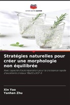 Xin Yao, Yanhan Zhu - Stratégies naturelles pour créer une morphologie non équilibrée