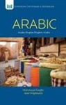 Mahmoud Gaafar, Jane Wightwick - Arabic-English/English-Arabic Dictionary & Phrasebook
